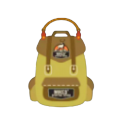 MSG Keychain