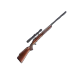 SCOPED RIFLE