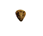 DEER OR BOAR MOUNT